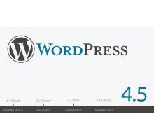 WordPress 4.5.1 rus скрипт CMS