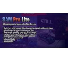 SAM Pro Lite плагин рекламы wordpress