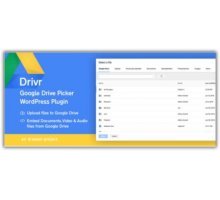 Drivr Google Drive плагин wordpress Google диска