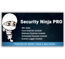 Security Ninja PRO плагин безопасности wordpress
