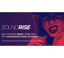 SoundRise художники, продюсеры и лейблы шаблон wordpress