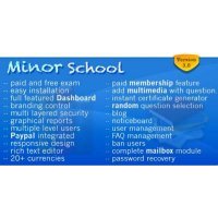 Minor School MCQ скрипт курсы