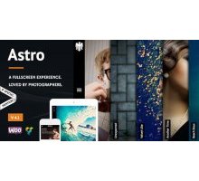 Astro 4.1 адаптивный шаблон портфолио wordpress