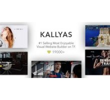 KALLYAS 4.3 адаптивный шаблон wordpress