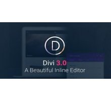Divi 3.0.4 адаптивный шаблон тема wordpress