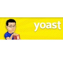 Yoast Video SEO видео плагин wordpress