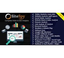 SiteSpy 3.3 rus скрипт анализа сайта