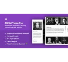 AWSM Team Pro плагин wordpress