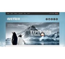 Arctica шаблон тема wordpress