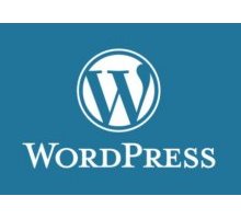 Курс WordPress для профессионалов