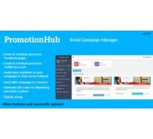 PromotionHub скрипт социальный менеджер организаций