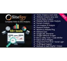 SiteSpy rus скрипт система анализа сайта