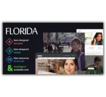 Florida отзывчивый шаблон тема wordpress