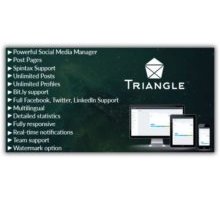 Triangle скрипт менеджер социальных сетей