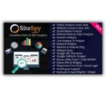 SiteSpy rus скрипт анализа сайта