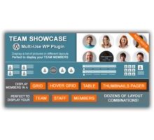 Team Showcase плагин wordpress