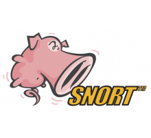 Snort 2.9.8.0 обнаружение атак