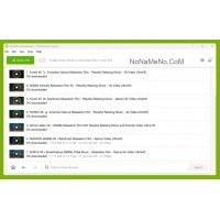 4K Video Downloader+