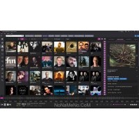 Helium Music Manager Premium Helium Music Manager Premium