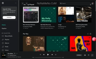 Pazu Tidal Music Converter