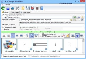 Bulk Image Downloader