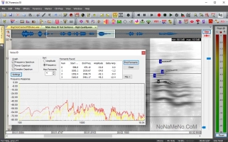 Diamond Cut Forensics Audio Laboratory