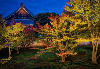 Япония Киото Парк Осень Природа фото